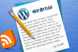 Resoconto di un anno di blogging