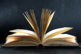 Le affinità letterarie