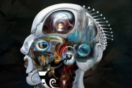 Introduzione alla neuroestetica letteraria