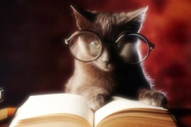 Il romanzo che mi ha fatto amare i libri