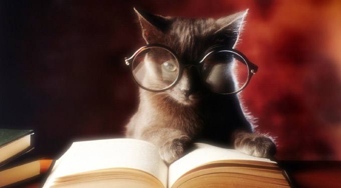 Amore per i libri