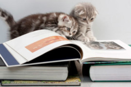 30 curiosità sulle mie abitudini di lettura