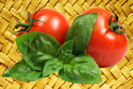 Guest post in vendita e altre amenità