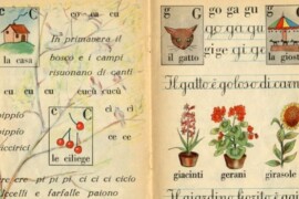 Leggere contro l’analfabetismo funzionale