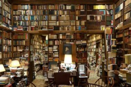 Leggere troppi libri fa davvero bene?